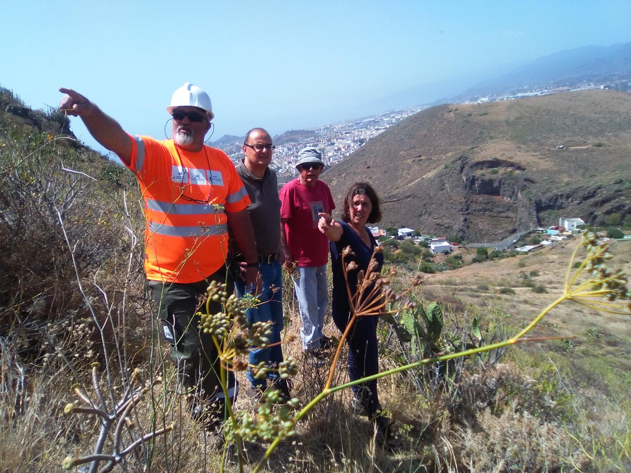 Operarios de Gesplan acometiendo labores de recuperación del Sendero Las Mesas