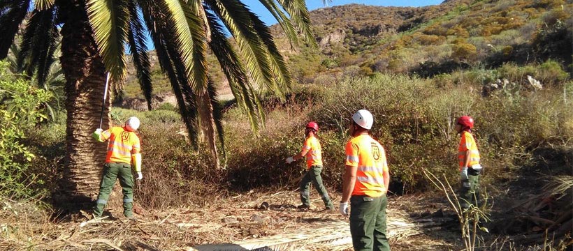 Operarios de Gesplan en el Parque Rural de Anaga