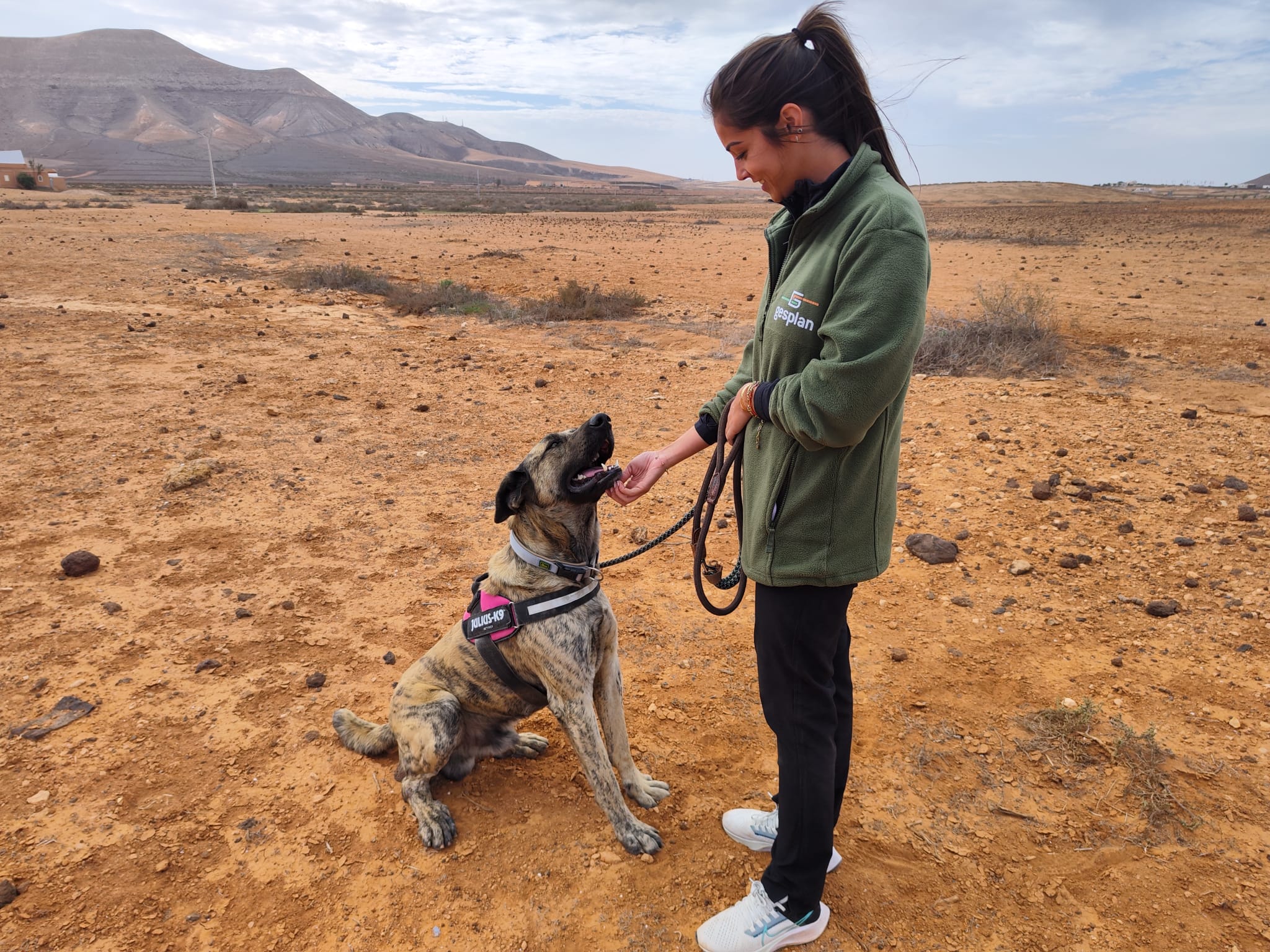 Gesplan y Voluntariado CaixaBank fomentan acciones de voluntariado en los centros de protección animal