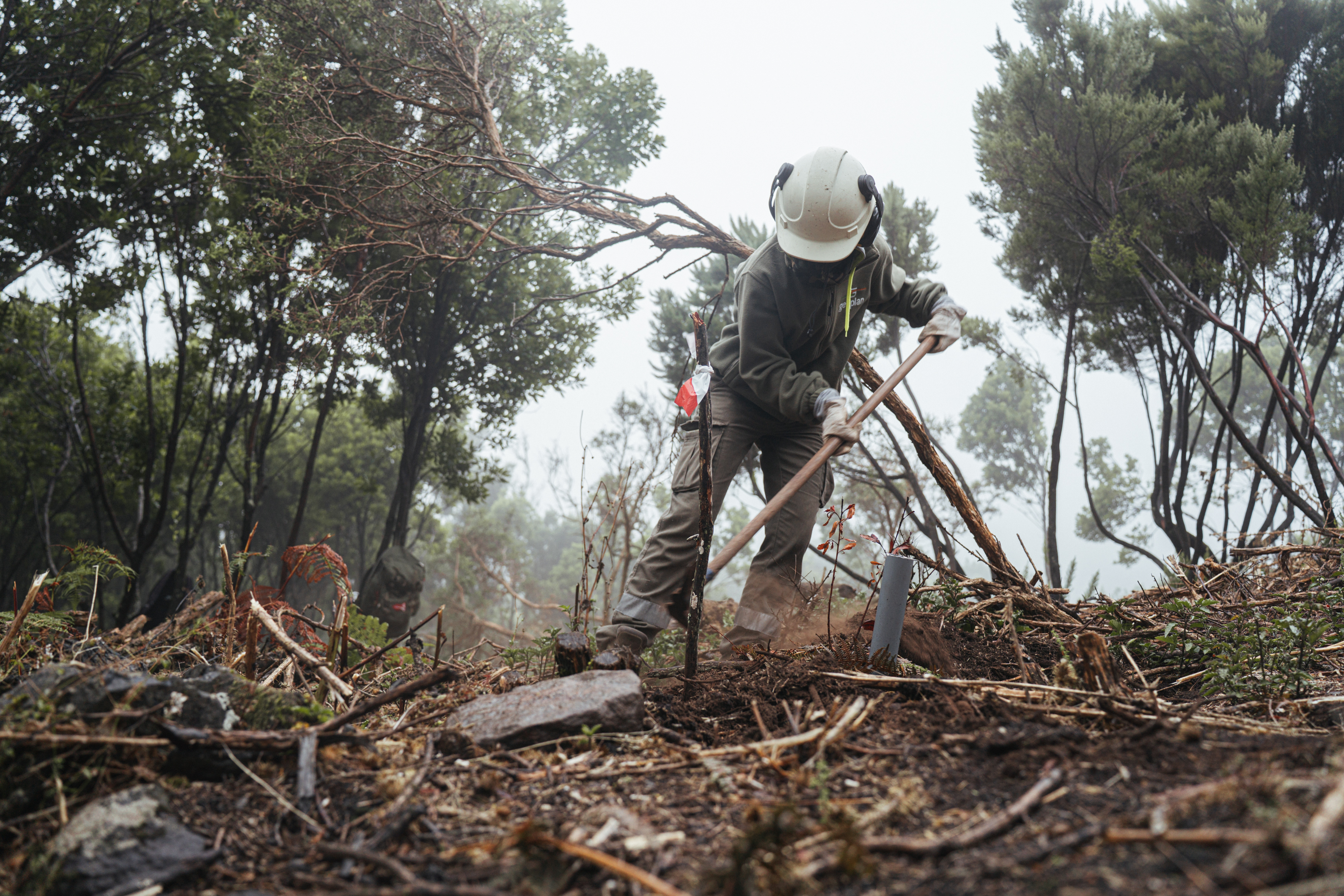 La actividad de Gesplan genera un impacto de 241 millones de euros en la sociedad canaria