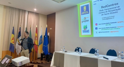 Los cabildos de Tenerife y Gran Canaria lideran una red transnacional para proteger la fauna silvestre y los océanos