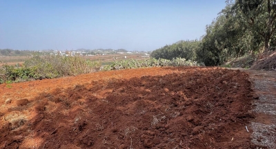 La Laguna refuerza el Banco de Tierras con el objetivo de fomentar la recuperación del sector primario