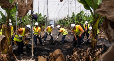 Gesplan retira la ceniza de más de 722 viviendas, 112 parcelas agrícolas y 295 infraestructuras de La Palma