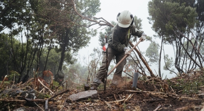 La actividad de Gesplan genera un impacto de 241 millones de euros en la sociedad canaria